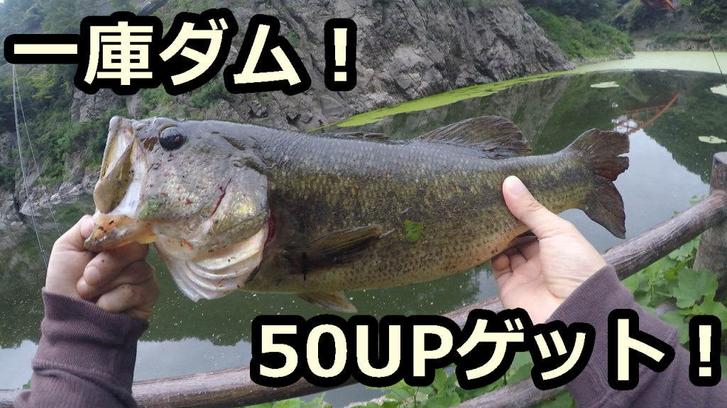 22年 一庫ダムでバス釣り おかっぱりポイントを徹底解説 Hajimeのバス釣りブログ
