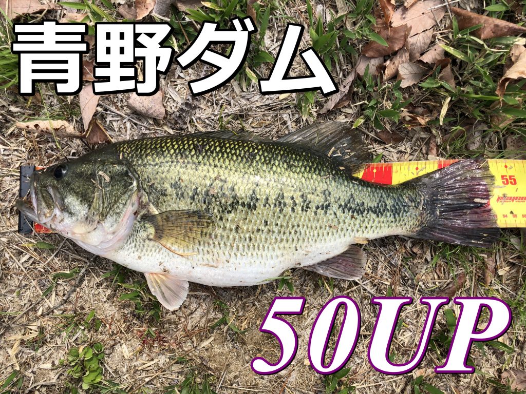 22年 青野ダムでバス釣り おかっぱりから50アップ捕獲で春爆 Hajimeのバス釣りブログ