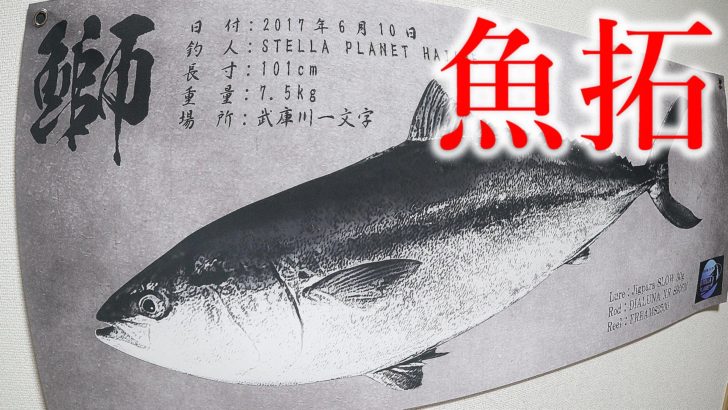デジタル魚拓なら安いre Fishがおすすめ 釣った巨大ブリで魚拓を作ってみた Hajimeのバス釣りブログ