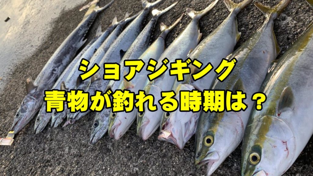 ショアジギングで青物が釣れる時期 季節 は 関西の場合 大阪湾 Hajimeのバス釣りブログ