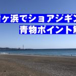 和歌山の煙樹ヶ浜でショアジギング！青物(ブリ)の釣りポイント解説